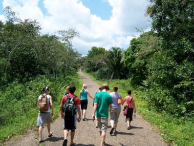Students walking down a trail